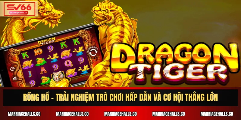 Rồng Hổ